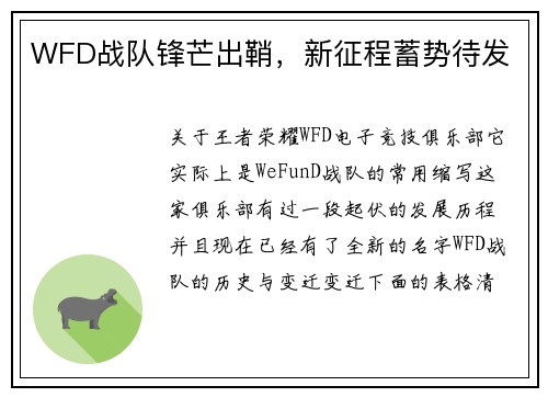 WFD战队锋芒出鞘，新征程蓄势待发